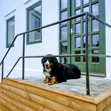 Homestay szállás Sobanehuset *